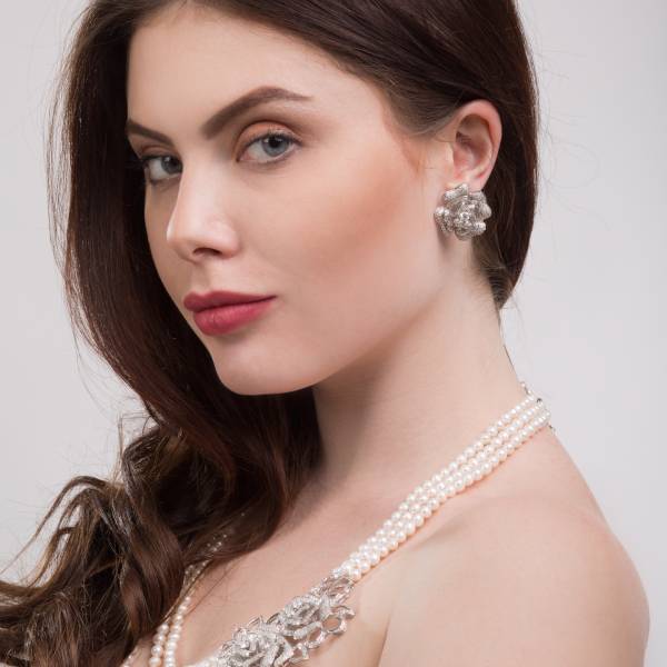 Donec condimentum fer